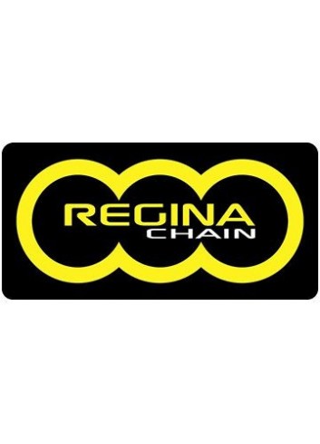 Avec Joints Toriques Regina Chaine 520 - 96 maillons - Super Oring Avec Joints Toriques
