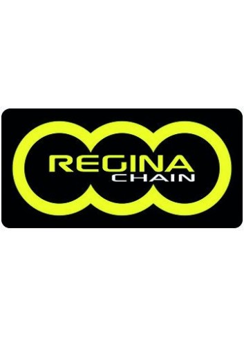 Chaîne Transmission Avec Joints Toriques Regina 630-ORS-102
